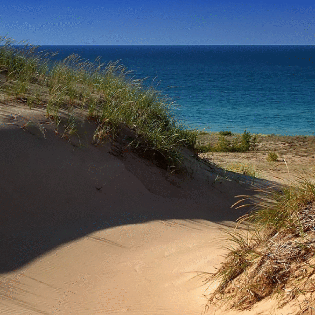 Embracing Michigan’s Natural Beauty: Interior Design Inspired by the Lakeshore and Grand Rapids